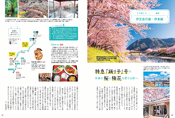 旅行読売の増刊号・その他 | 雑誌/電子書籍/定期購読の予約はFujisan